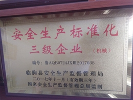 安全生產(chǎn)標(biāo)準(zhǔn)化三級(jí)企業(yè)